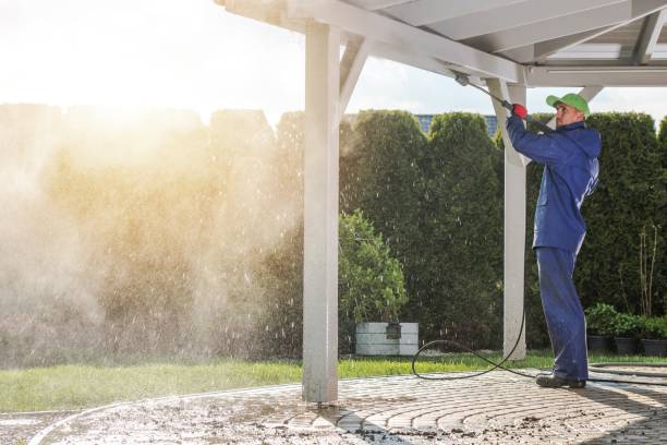 Best Animal Enclosure Cleaning  in Madisonville, LA